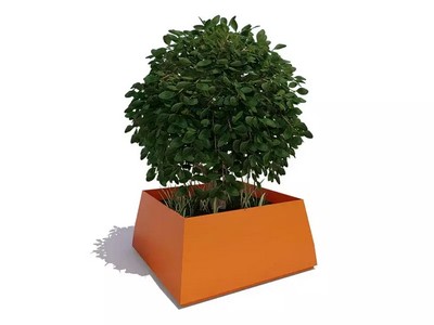 Вазон Гелениум